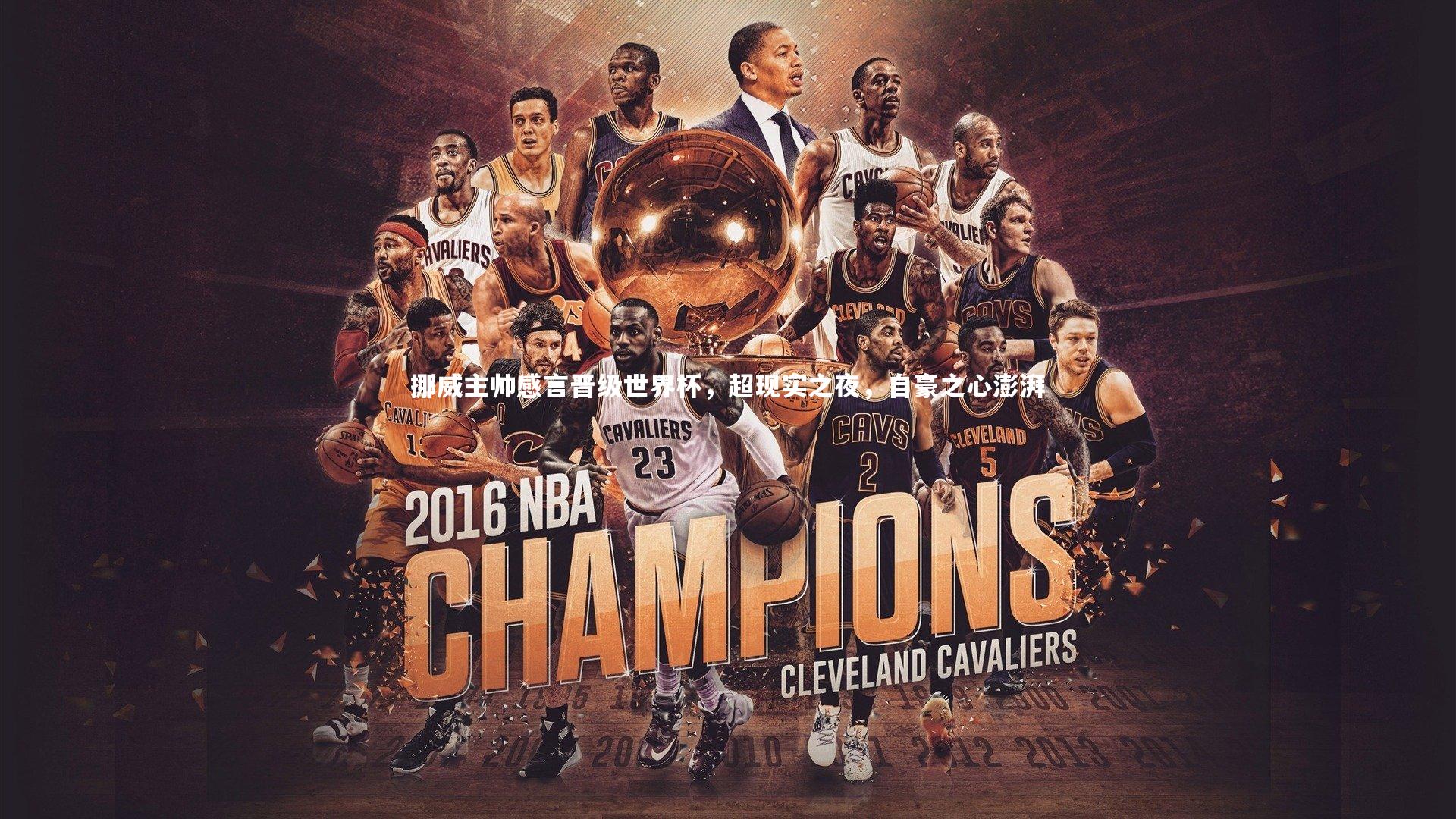 挪威主帅感言晋级世界杯，超现实之夜，自豪之心澎湃